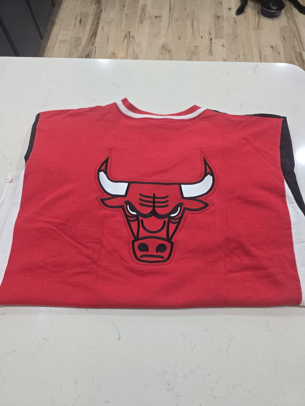 Vintage Chicago Bulls Shooting Shirt: Authentic Champion shooting shirt - Picture 6 of 8